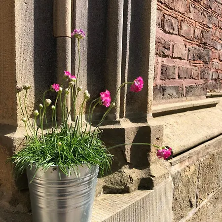 Apartment Ministerhaus - Exklusives Auf Historischem Gutshof Bergkamen